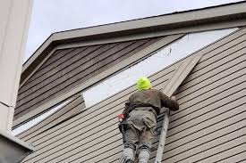 Best Historical Building Siding Restoration  in Cross Plains, WI